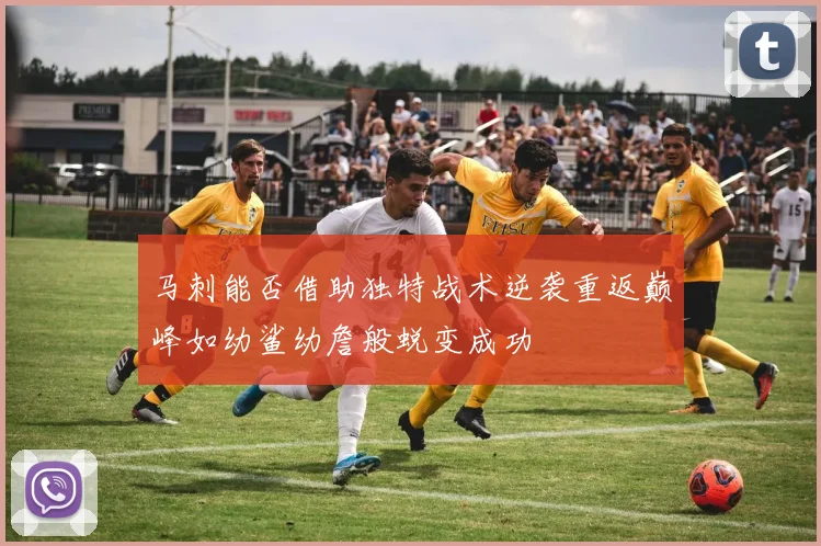 马刺能否借助独特战术逆袭重返巅峰如幼鲨幼詹般蜕变成功