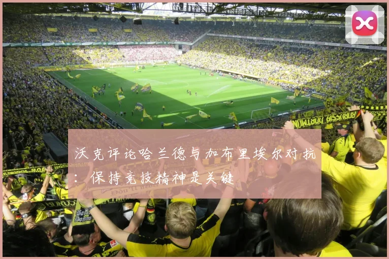沃克评论哈兰德与加布里埃尔对抗：保持竞技精神是关键