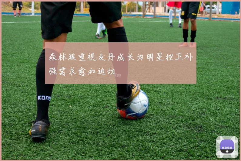 森林狼重视麦丹成长为明星控卫补强需求愈加迫切